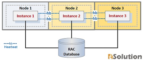 Oracle Real Application Cluster (RAC) Installation Oracle Real Application Cluster (RAC) Installation